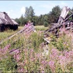 Русская деревня. Вымирание не за горами
